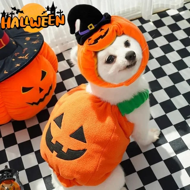Festive Halloween costume vest for pets