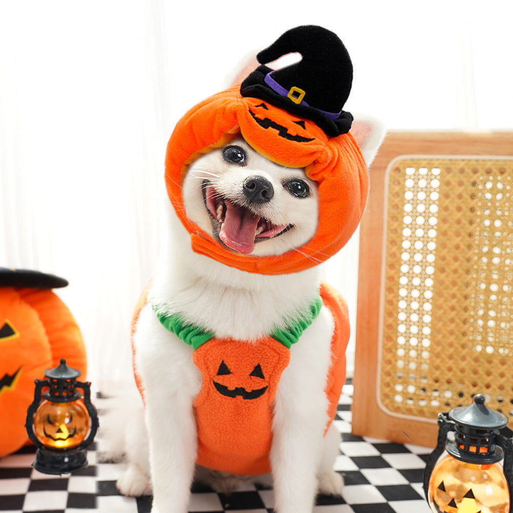 Festive Halloween costume vest for pets