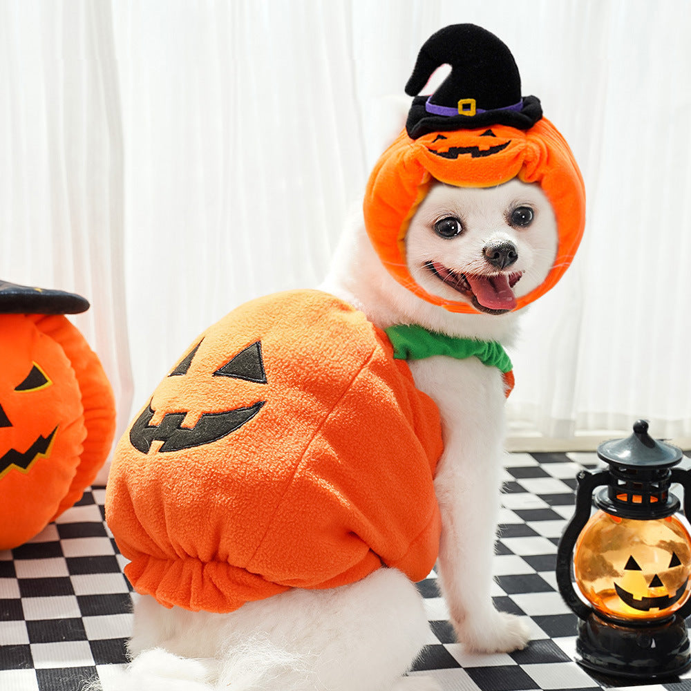 Festive Halloween costume vest for pets