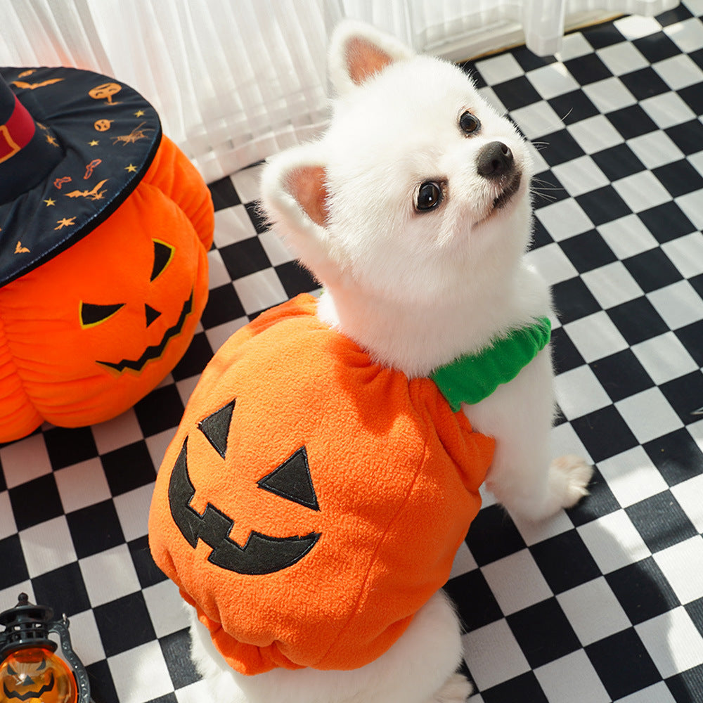 Festive Halloween costume vest for pets