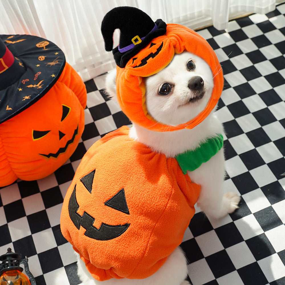 Festive Halloween costume vest for pets